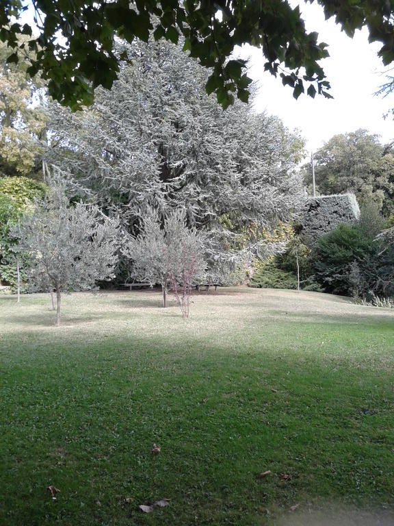 Le Chateau Des Estubiers Bed & Breakfast Serignan-du-Comtat Luaran gambar